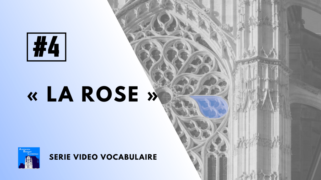 Vocabulaire #4 : la rose
