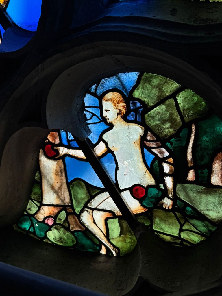 Eve tendant la pomme - Rose Sud - Cathédrale de Beauvais