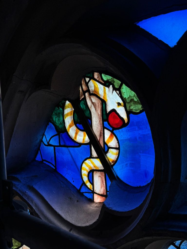 Serpent de la tentation - Rose Sud - Cathédrale de Beauvais